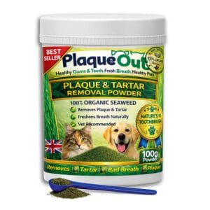 PLAQUE OUT 100g Pot- Plaque & Tartar Remover - 100% Natural Seaweed Powder