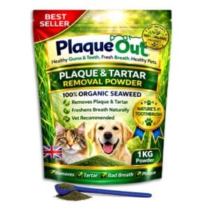 PLAQUE OUT 1KG Pouch - Plaque & Tartar Remover - 100% Natural Seaweed Powder