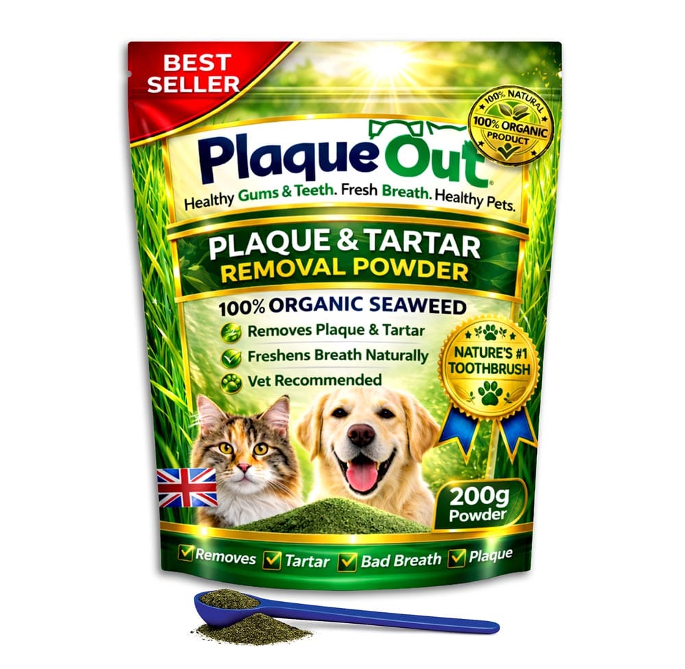 PLAQUE OUT 200g Pouch - Plaque & Tartar Remover - 100% Natural Seaweed Powder