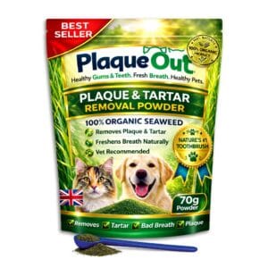 PLAQUE OUT 70g Pouch - Plaque & Tartar Remover - 100% Natural Seaweed Powder