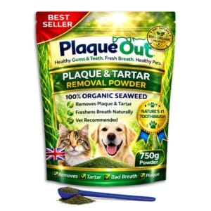 PLAQUE OUT 750g Pouch - Plaque & Tartar Remover - 100% Natural Seaweed Powder